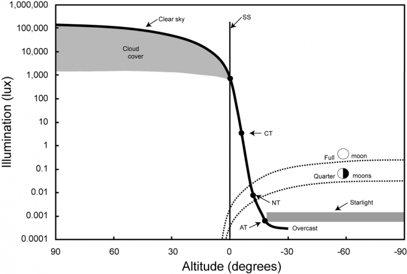 beiercorrected.png beiercorrected.png